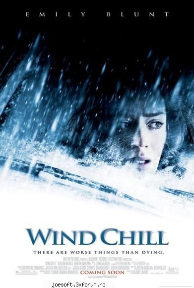 wind chill (2007)      